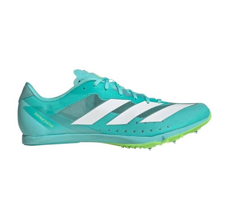 adidas Sportswear Distancestar - Spikeschuh Laufschuh von adidas Sportswear