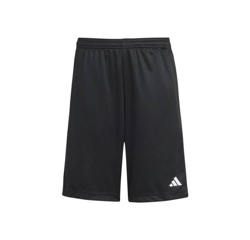 adidas Sportswear Shorts Training Essentials Short von adidas Sportswear