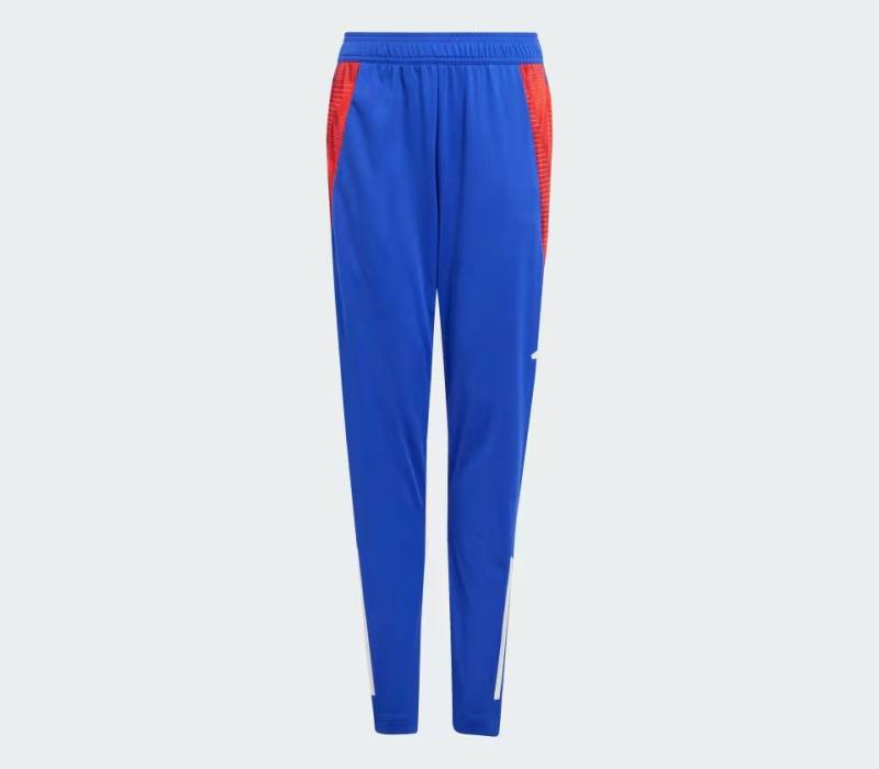 adidas Sportswear Sporthose TIRO24 C TRPNTY von adidas Sportswear
