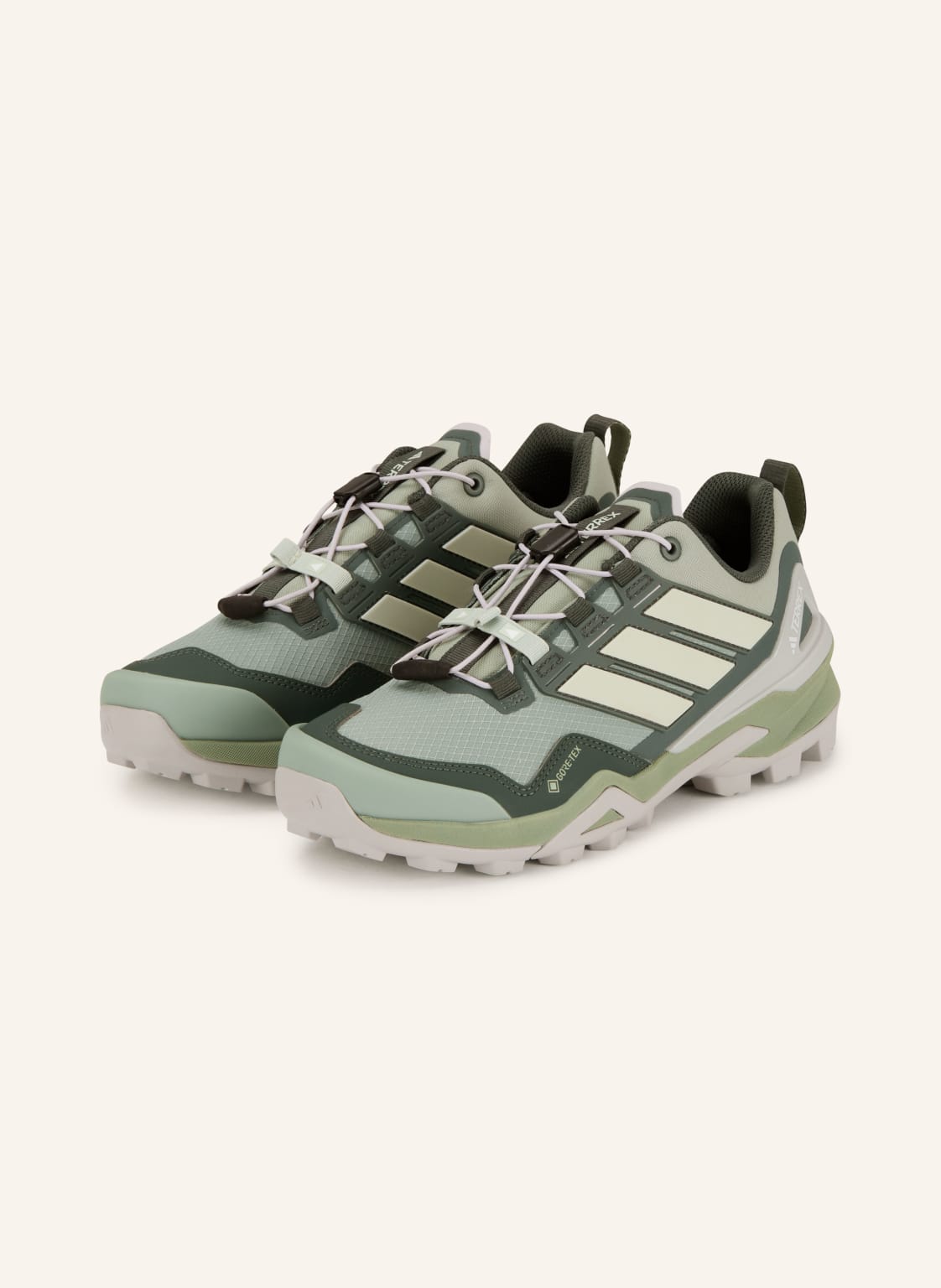 Adidas Terrex Wanderschuhe Terrex Skychaser Gtx silber von adidas Terrex