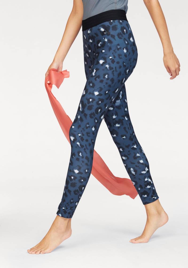 Große Größen: adidas Performance Funktionstights »ESSENTIALS ALL OVER PRINTED TIGHT«, marine, Gr.L-XXL von adidas performance