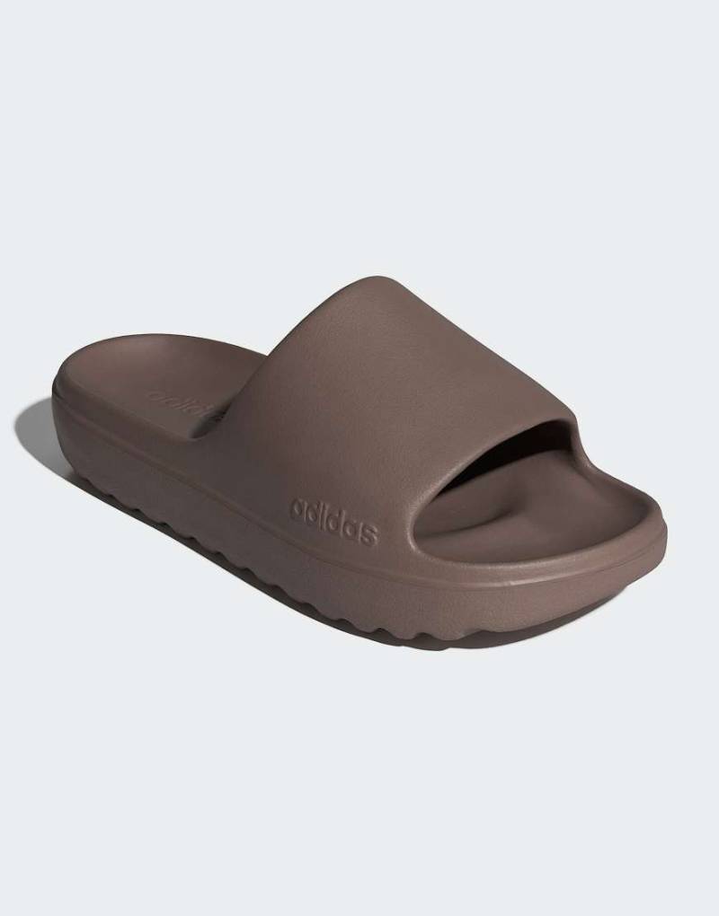 adidas Performance - Adilette Lumia - Slider in Trace Braun/Trace Braun/Tr von adidas performance