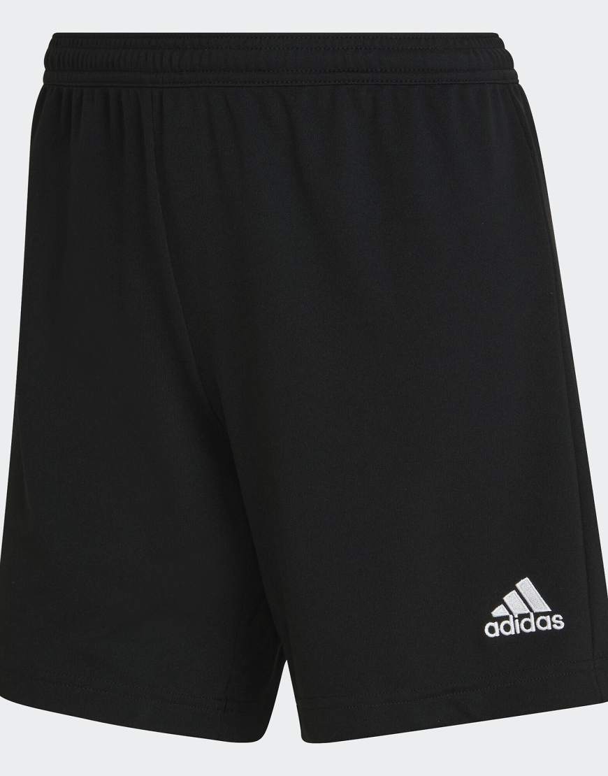 adidas Performance - Entrada 22 - Shorts in Schwarz von adidas performance