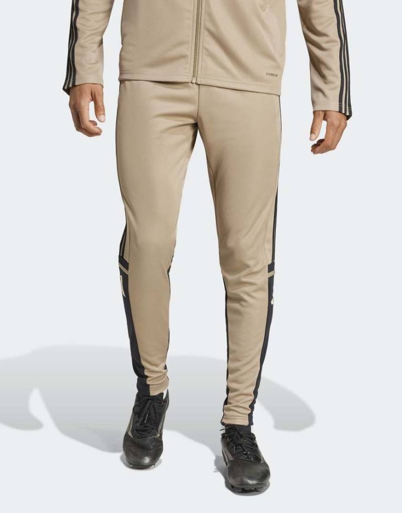 adidas Performance - Squadra 25 - Trainingshose in Blanch Cargo / Schwarz / Warm Vanilla-Neutral von adidas performance