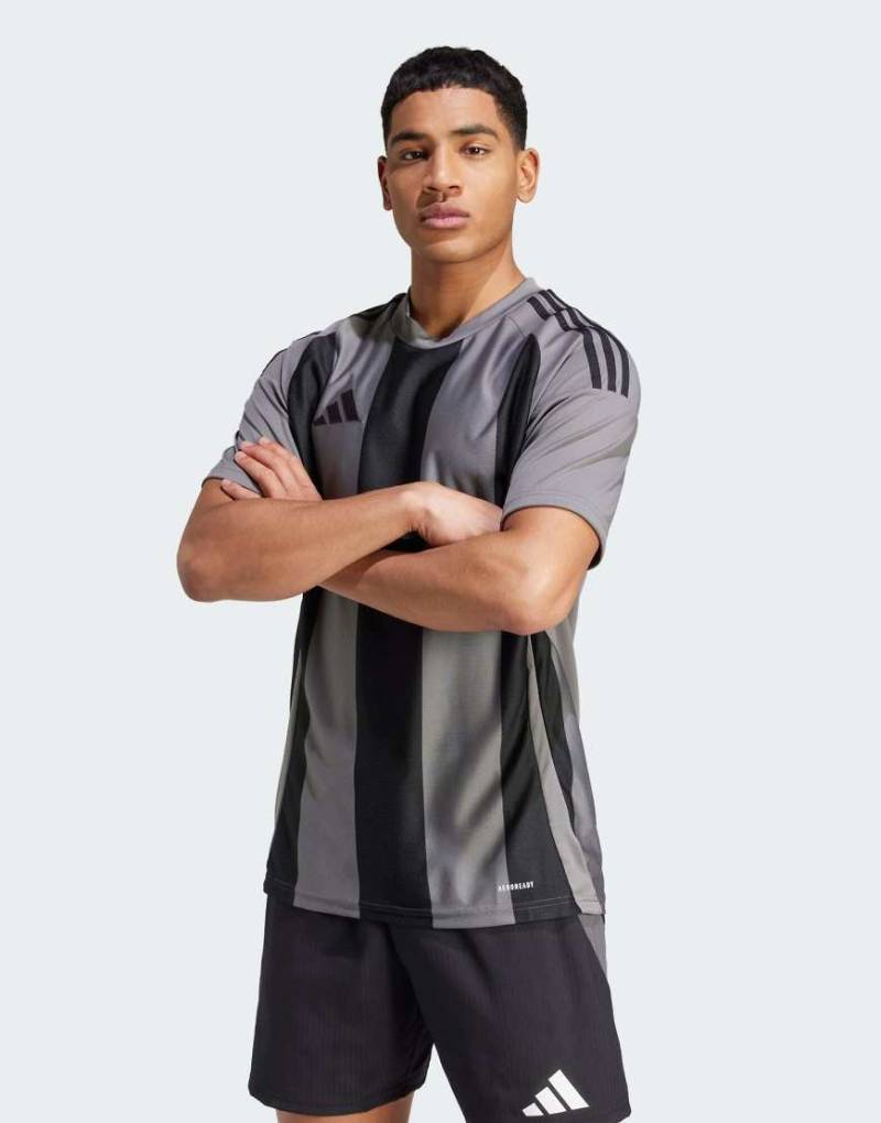 adidas Performance - Striped 24 - Trikot in Team Grey Four/Schwarz-Grau von adidas performance