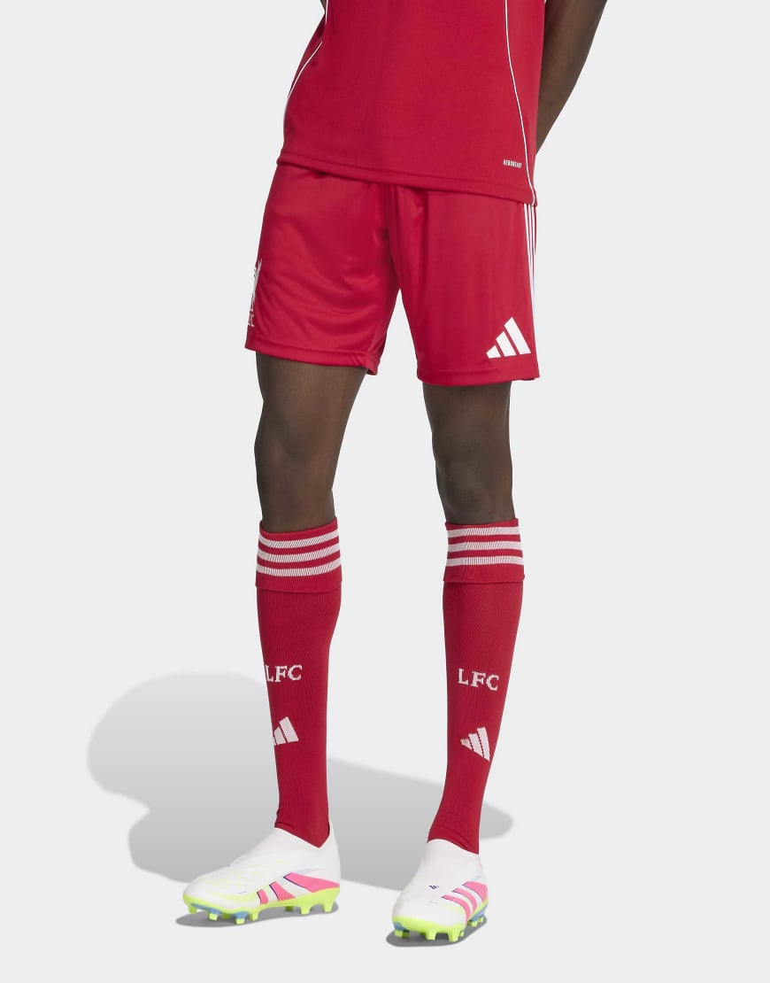 adidas performance - FC Liverpool 25/26 - Home - Shorts in Strawberry Red-Rot von adidas performance