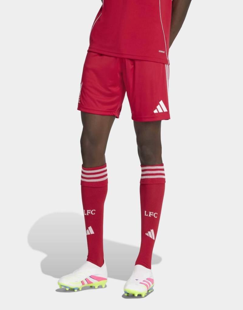 adidas performance - FC Liverpool 25/26 - Home - Shorts in Strawberry Red-Rot von adidas performance