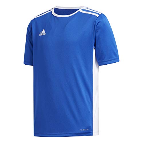 adidas Boys Entrada 18 Jsyy Shirt, Bold Blue/White, 116 von adidas