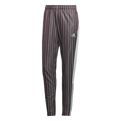 adidas Damen Tiro PNT VIP W Hose, Marsom, S von adidas