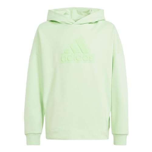 adidas Future Icons Logo Hoodie von adidas