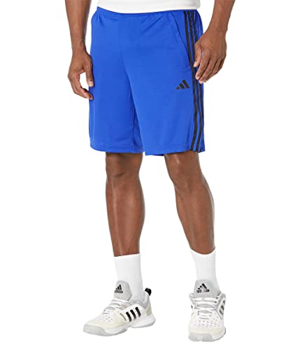 adidas Herren Essentials Pique 3-Streifen Trainingsshorts, Lucid Blue/Black, X-Large Hoch von adidas