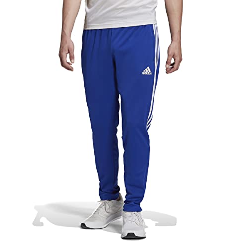 adidas Men's Standard Sereno Pant, Team Royal Blue, 4X-Large von adidas