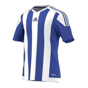 adidas Striped 15 Trikot kurzarm Blau Weiss Größe M von adidas