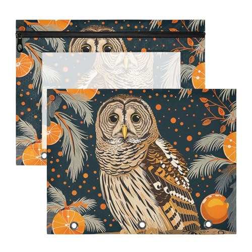 aidingzhi Federmäppchen mit 3 Löchern, Kunststoff, Aktenordner für A4-Papier, Briefe, 2 Stück, Lehrerklasse, Tiereule, chinesischer aufwendiger Stil, Malerei von aidingzhi