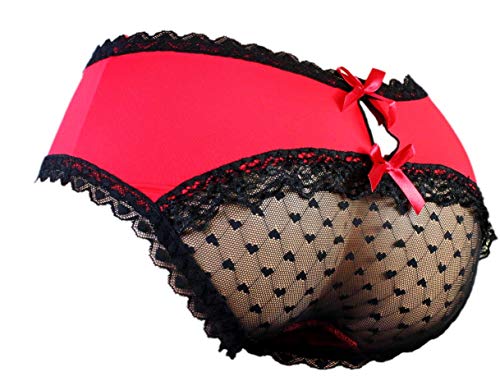 aishani SISSY Pouch Panties Herren Hipster Panty Spitze Bikini Slip Dessous Unterwäsche für Herren - HW, Rot/Ausflug, einfarbig (Getaway Solids), Large von aishani