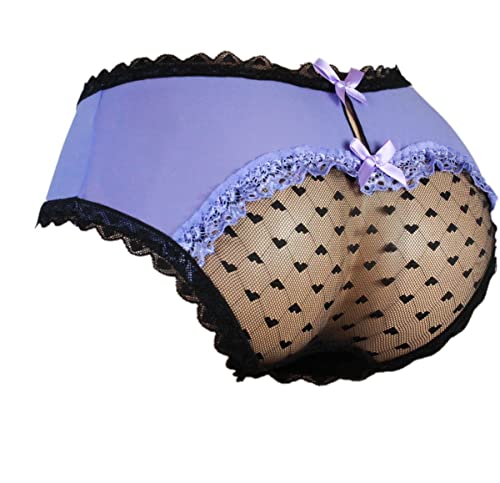 aishani SISSY Pouch Panties Herren Hipster Panty Spitze Bikini Slip Dessous Unterwäsche für Männer - HW, Veilchen, Large von aishani