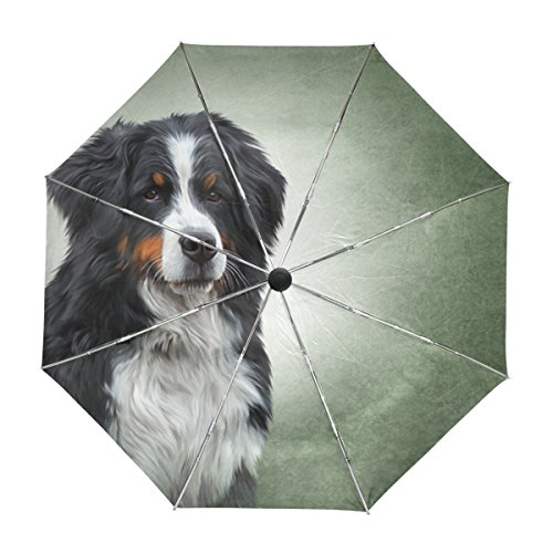 ALAZA Berner Sennenhund Vintage Reise Regenschirm Auto Öffnen Schließen UV-Schutz-windundurchlässiges Leichtes Regenschirm von alaza