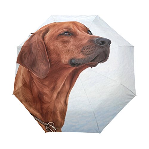 ALAZA Rhodesian Ridgeback Hundereise-Auto Open/Close Regenschirm mit Anti-UV-windundurchlässigen Leicht von alaza