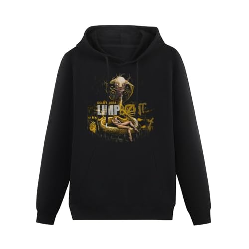 algem New Limp Bizkit Gold Cobra Logo Men's Graphic Hoody Size 3XL von algem