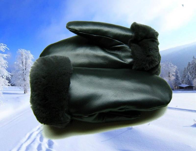 Rex Pelz -Echtes Nappaleder Warme Winterhandschuhe Für Damen Handschuhe Echtpelz Accessoires M L /Echt Pelzfutter von alphaFur
