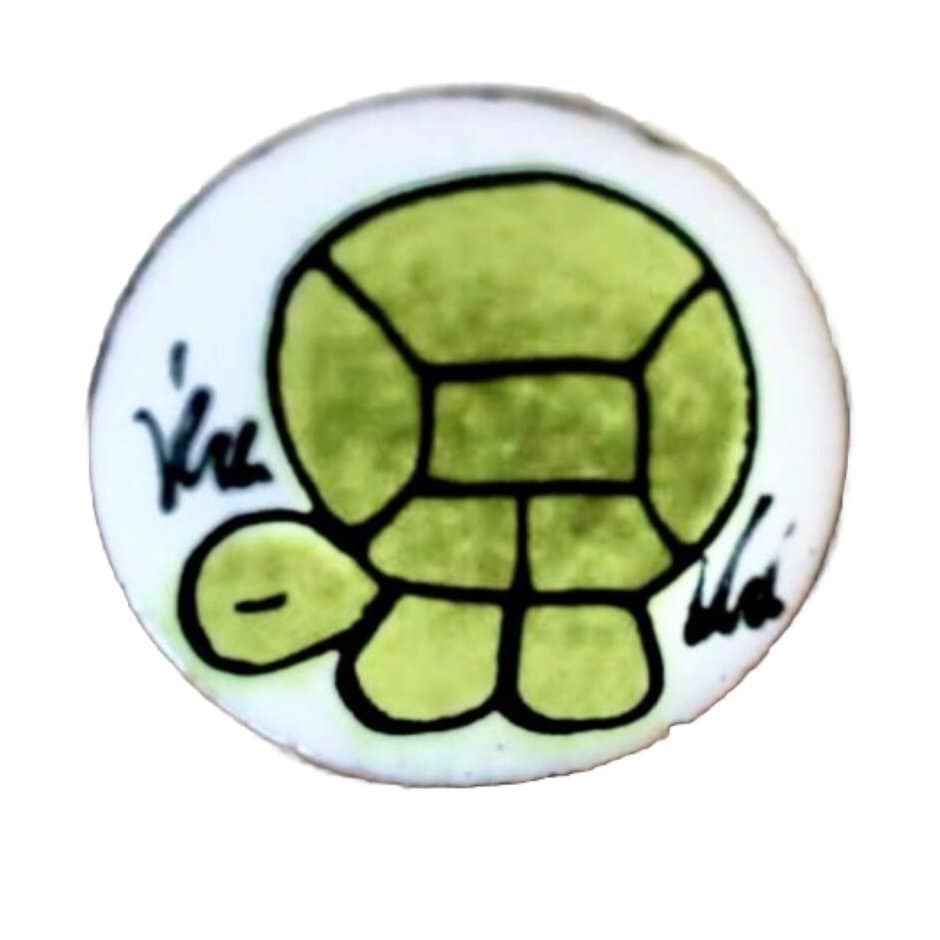 Schläfrige Schildkröte Brosche Aus Emaille Anstecknadel in Weiß & Frühlingsgrün von angelinesattic