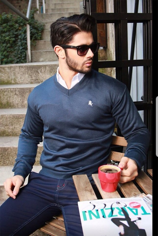 apollon Strickpullover Eleganter Strickpullover mit V-Ausschnitt und Logostickerei V-Ausschnitt, Logostickerei von apollon