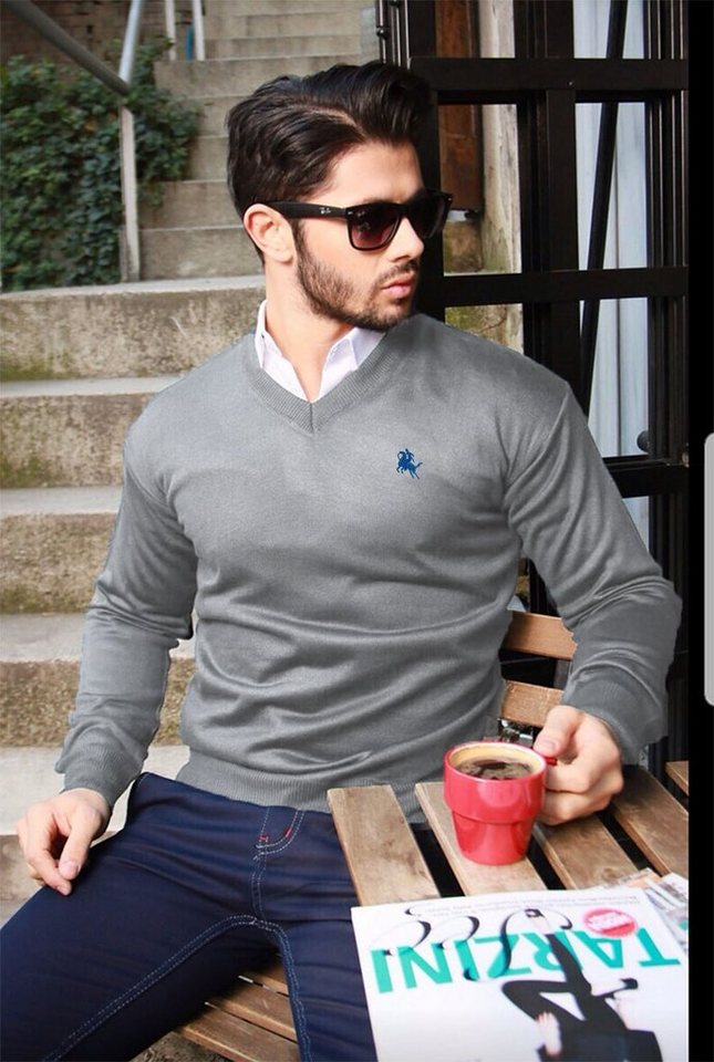 apollon Strickpullover Eleganter Strickpullover mit V-Ausschnitt und Logostickerei V-Ausschnitt, Logostickerei von apollon