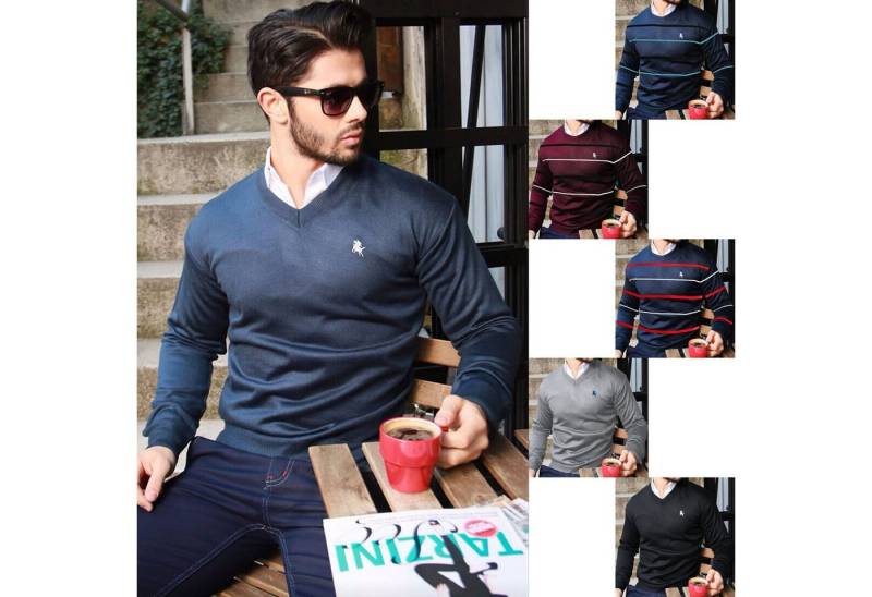 apollon Strickpullover Eleganter Strickpullover mit V-Ausschnitt und Logostickerei V-Ausschnitt, Logostickerei von apollon