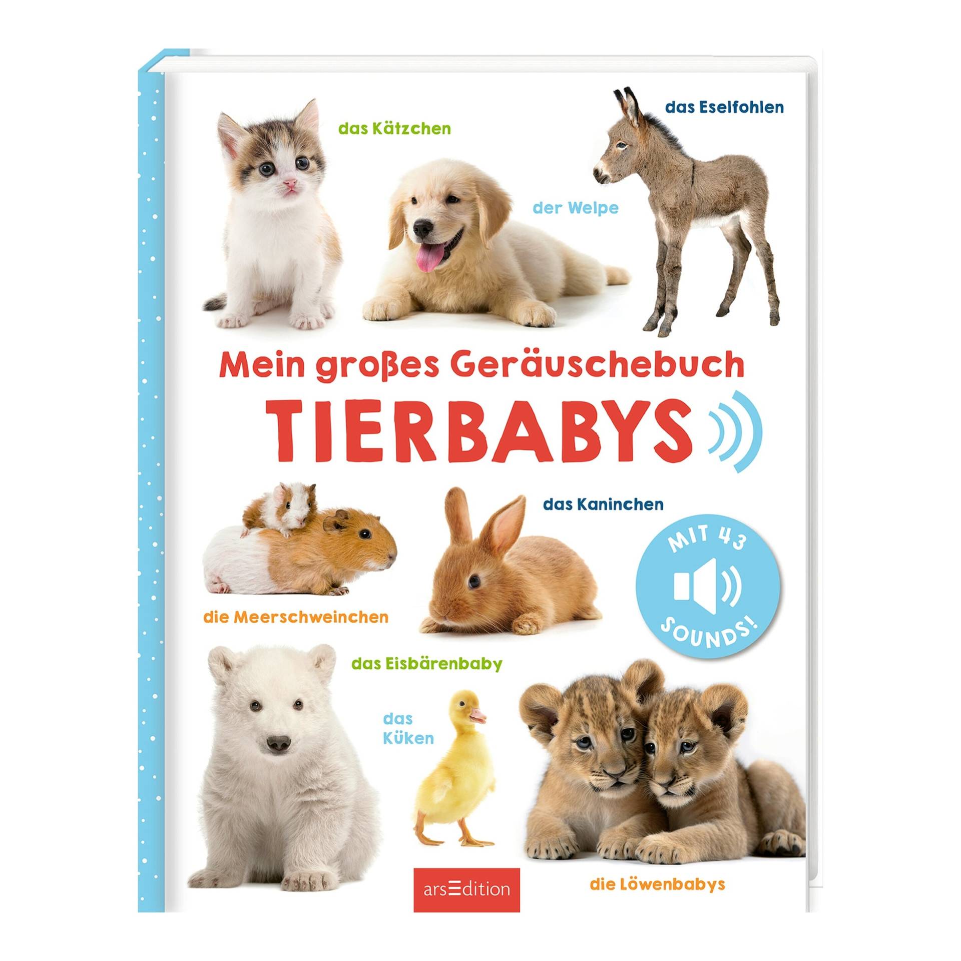Arsedition Mein großes Geräuschebuch - Tierbabys Arsedition Mein großes Geräuschebuch - Tierbabys von arsEdition