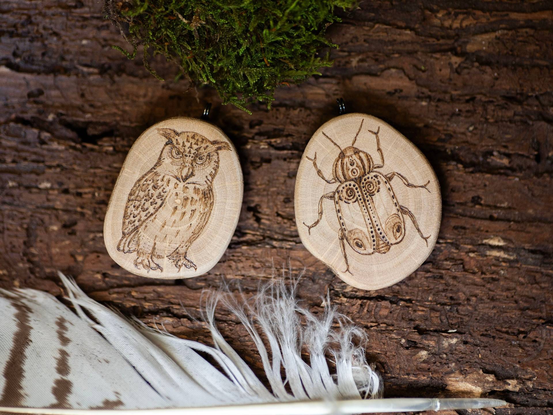 Holzamulett - Pyrographie Eule & Käfer Handgearbeitet Waldschmuck Brandmalerei Handmade Unikat Naturschmuck von artHawkNatureDesign