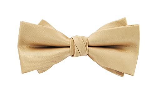 axy Herren Fliege Schleife, bereits gebunden, Konfirmation verstellbar Hochzeitsfarbe FLI4B (Beige) von axy