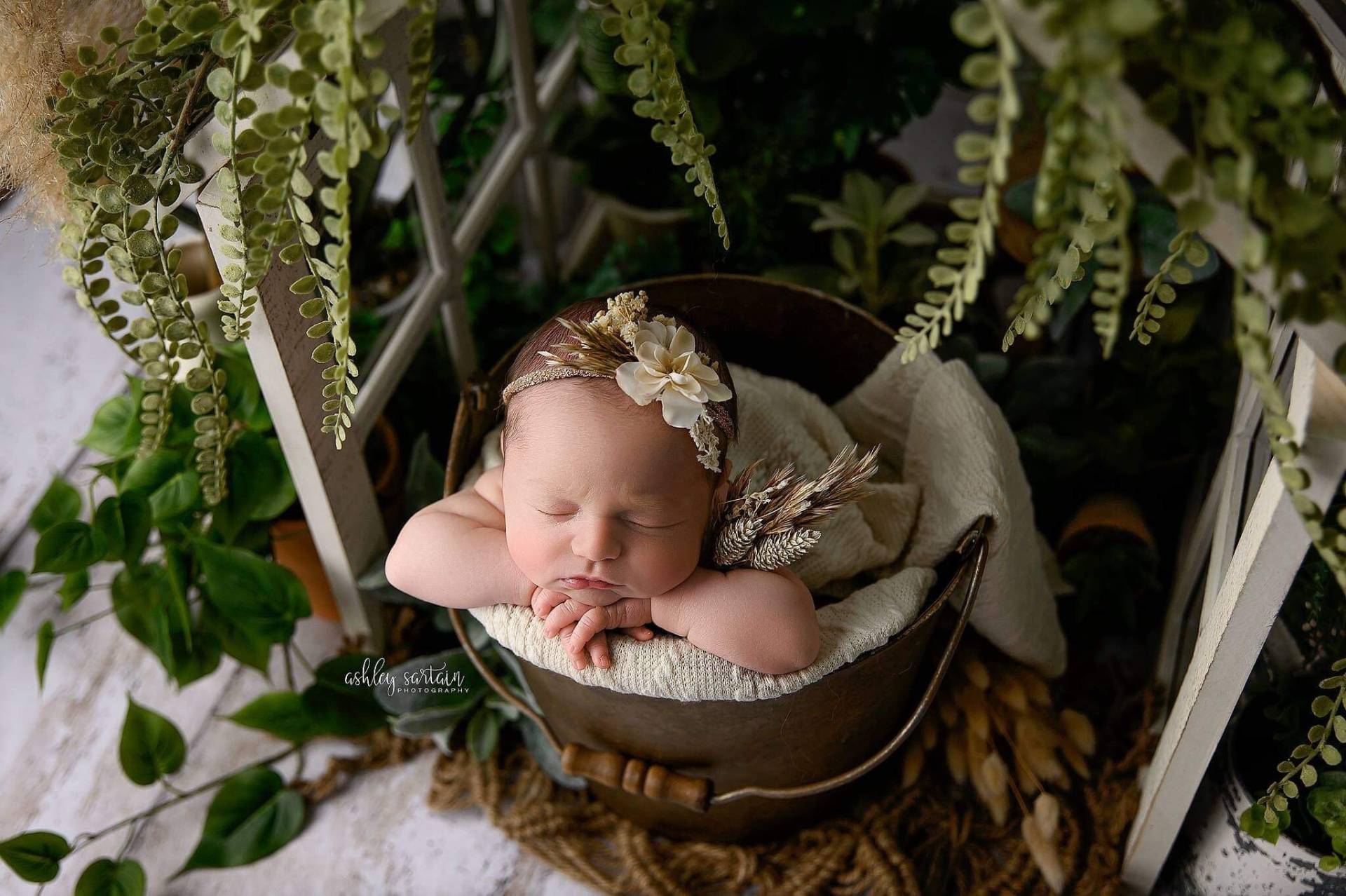 Kadence Set Texturierter Cremefarbener Pullover Boho Stretch Newborn Wrap Und Getrocknetes Pampasgras Neugeborenen Raffhalter Mit Mini Bouquet Kadence Set Texturierter Cremefarbener Pullover Boho Stretch Newborn Wrap Und Getrocknetes Pampasgras Neugeborenen Raffhalter Mit Mini Bouquet von babybirdieboutique