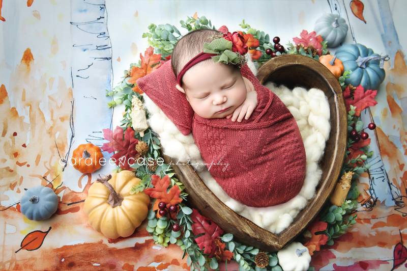 Quade Staubig Tiefrot Herbst Strickpullover Sitzsack Posing Stoff Stretch Wrap von babybirdieboutique