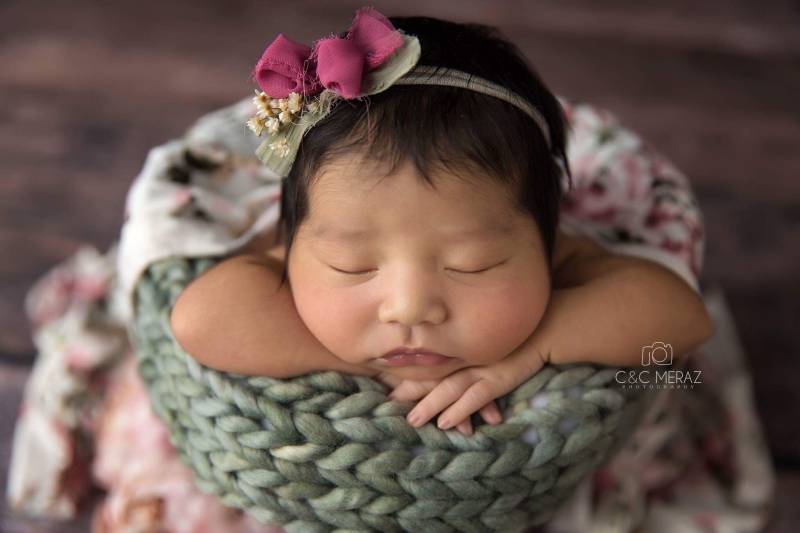 Tildie Mauve Beere Getrocknete Blumen Einfache Chiffon Schleife Neugeborenen Haarband Blumenkrone von babybirdieboutique