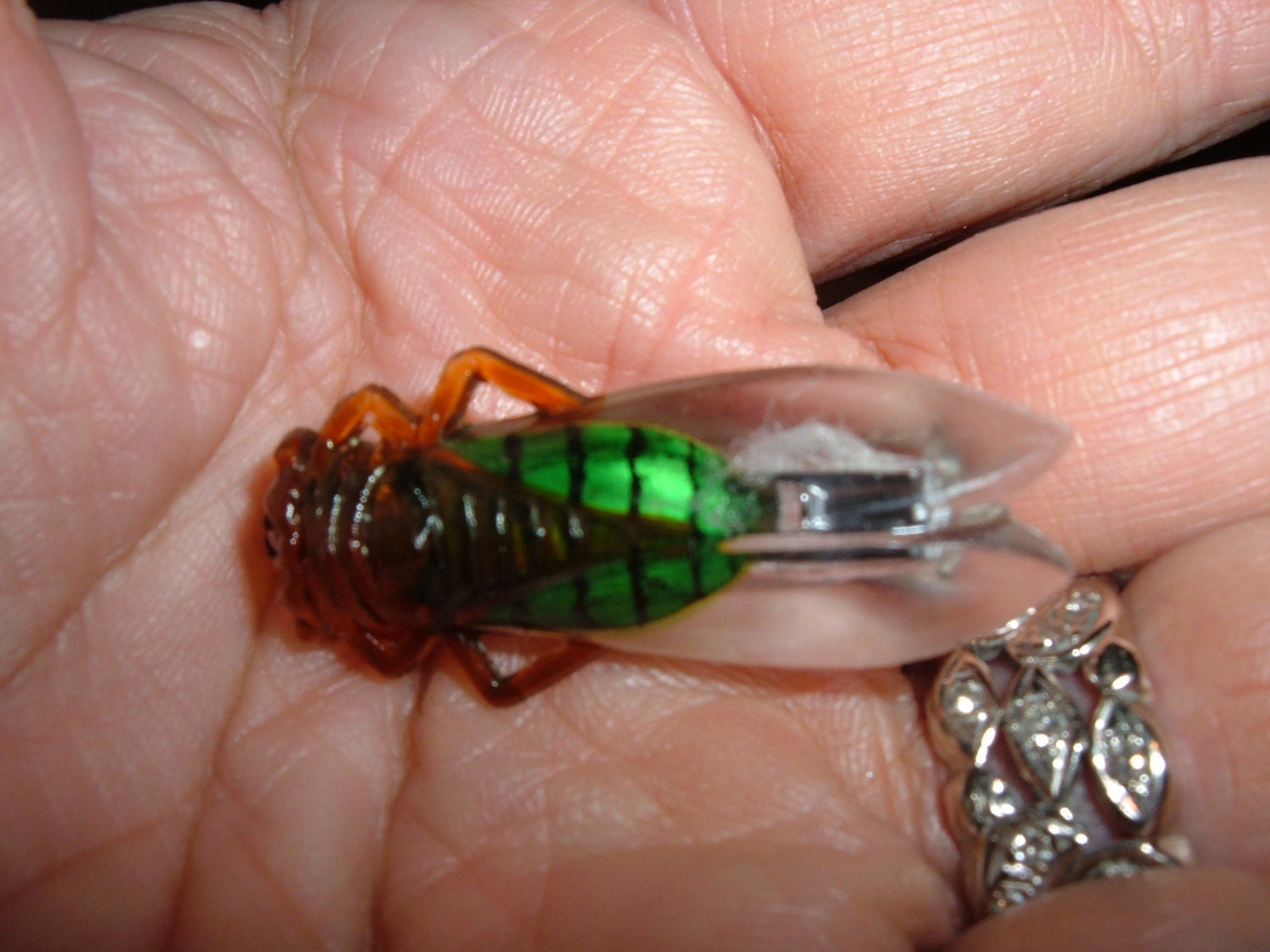 Vintage Lucite Viel Glück Französisch Zikade Bug Pin Neon Grün von bakelitecache