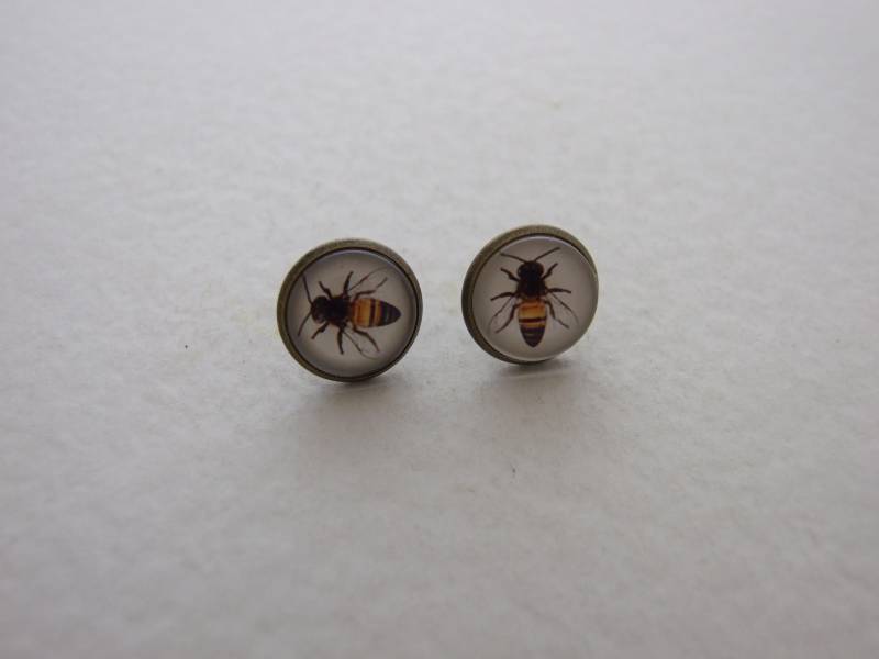 Bienenohrringe.. Honigbienenohrringe, Bienenohrstecker, Hummel, Bienenohrstecker von beadishdelight