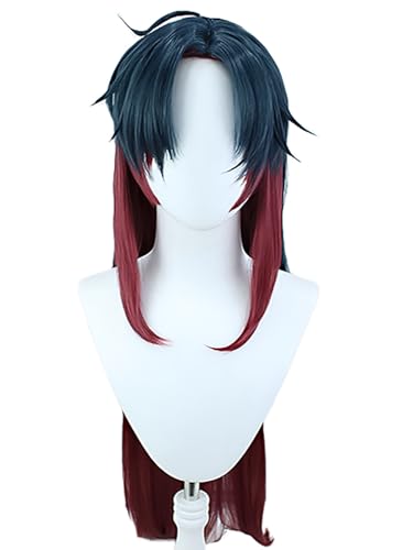 bi bi hou Honkai Star Rail Blade Cosplay Perücke Lange Honkai Star Rail Verkleidung Blade Cosplay Wig Anime Perücke Halloween Karneval Party Cosplay Kostüm Zubehör Perücke Erwachsene von bi bi hou