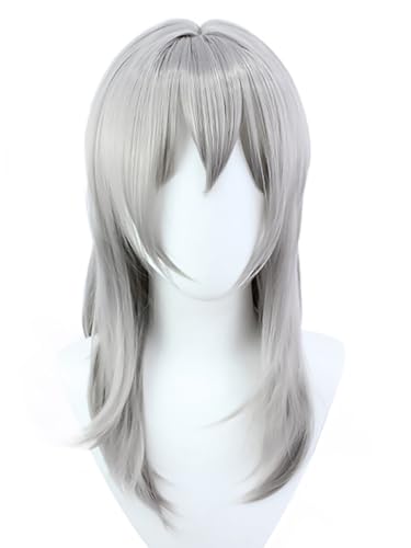 bi bi hou Honkai Star Rail Stelle Cosplay Perücke Grau Lange Honkai Star Rail Verkleidung Trailblazer Cosplay Wig Anime Perücke Halloween Karneval Party Cosplay Kostüm Zubehör Perücke Erwachsene von bi bi hou