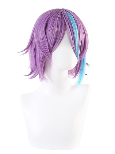 bi bi hou Kamishiro Rui Cosplay Perücke Lila Kurz Project Sekai Verkleidung Rui Kamishiro Cosplay Wig Anime Perücke Halloween Karneval Party Cosplay Kostüm Zubehör Erwachsene von bi bi hou