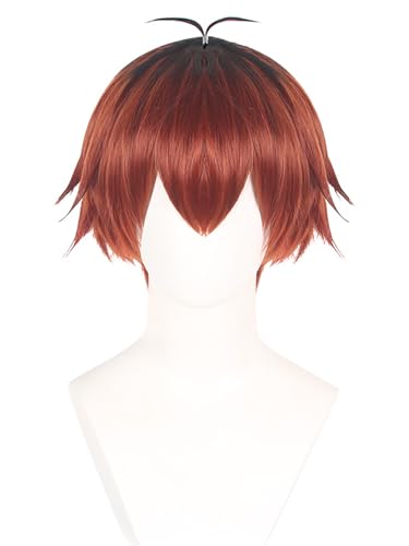 bi bi hou Stark Cosplay Perücke Rot Länge 25cm Anime Frieren at the Funeral Verkleidung Stark Wig Halloween Karneval Party Kostüm Zubehör Anime Perücke Erwachsene von bi bi hou
