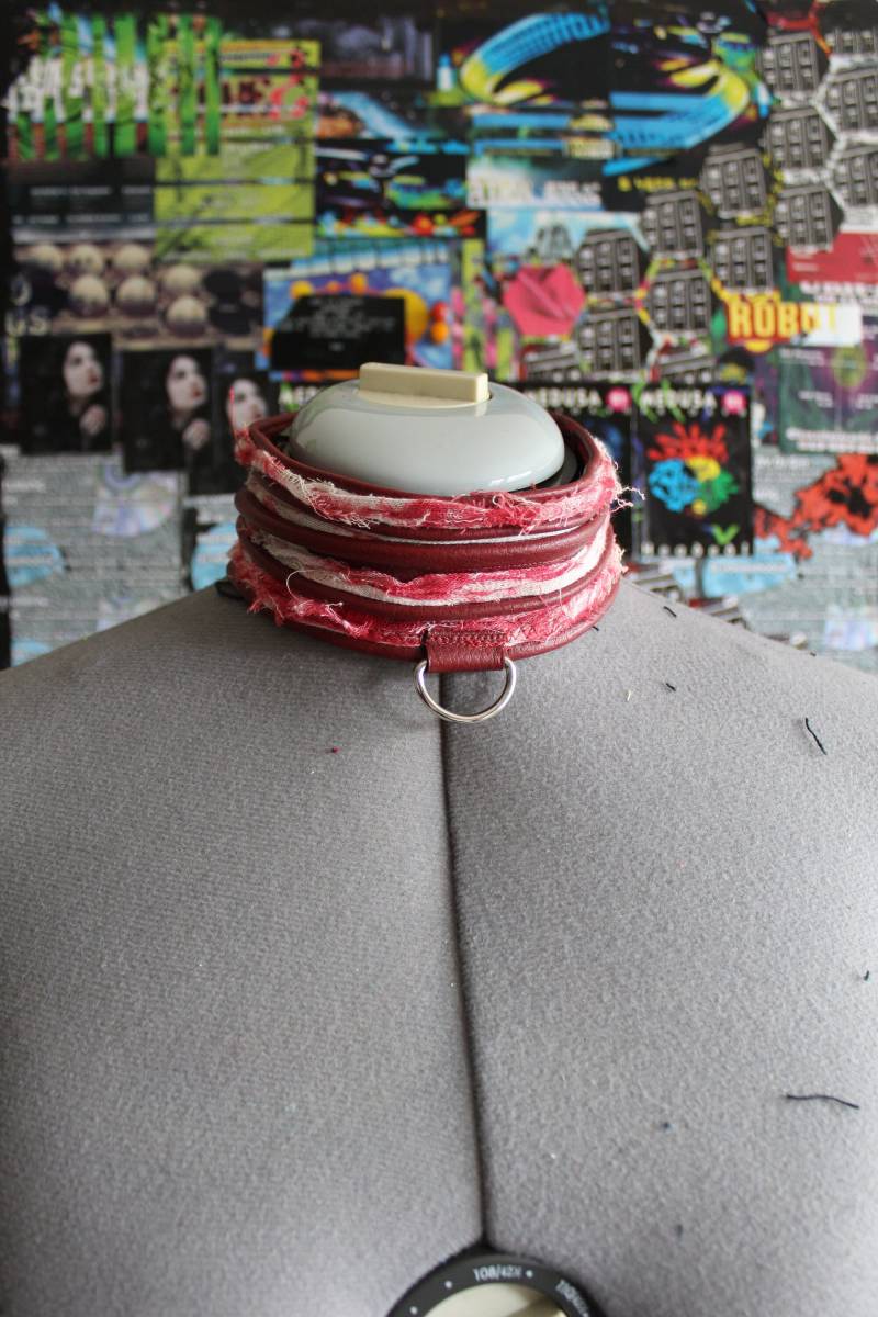 Rot Vinyl Geschnitzter Kragen, Blutiges Bandage-Futter, Fleece-Rücken Rot Vinyl Geschnitzter Kragen, Blutiges Bandage-Futter, Fleece-Rücken von biotic