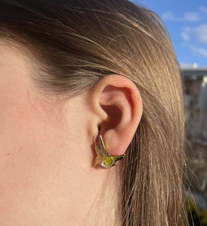 Ein Paar Kolibri-Ohrstecker - Pair Of Hummingbird Stud Earrings von birdsandpins