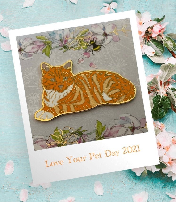 Kater Jango - Cat Beautiful Ginger Tabby Cat Wunderschöner Roter Kater Jango - Cat Beautiful Ginger Tabby Cat Wunderschöner Roter von birdsandpins