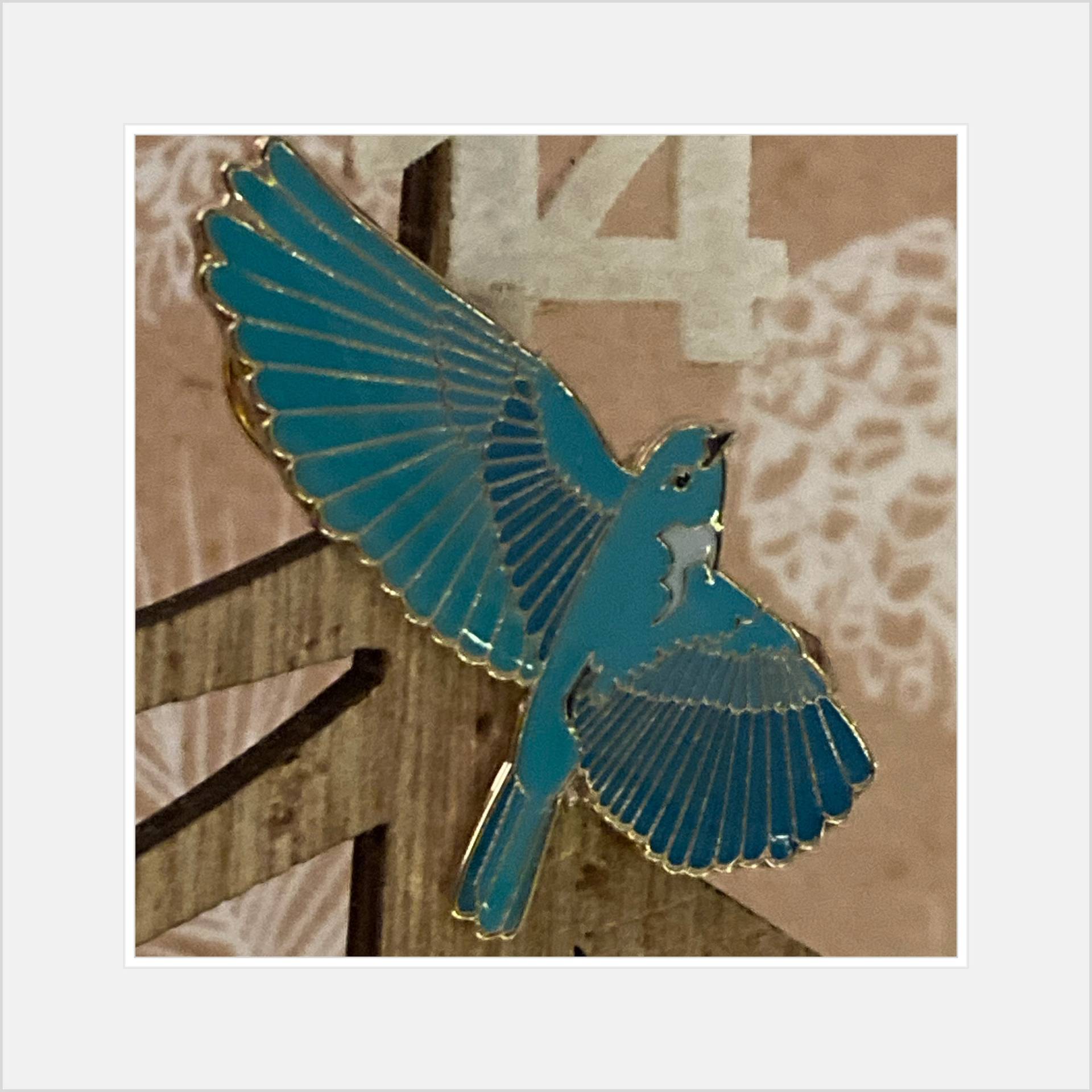 Pin Mountain Bluebird Im Flug - Flying Pin Mountain Bluebird Im Flug - Flying von birdsandpins