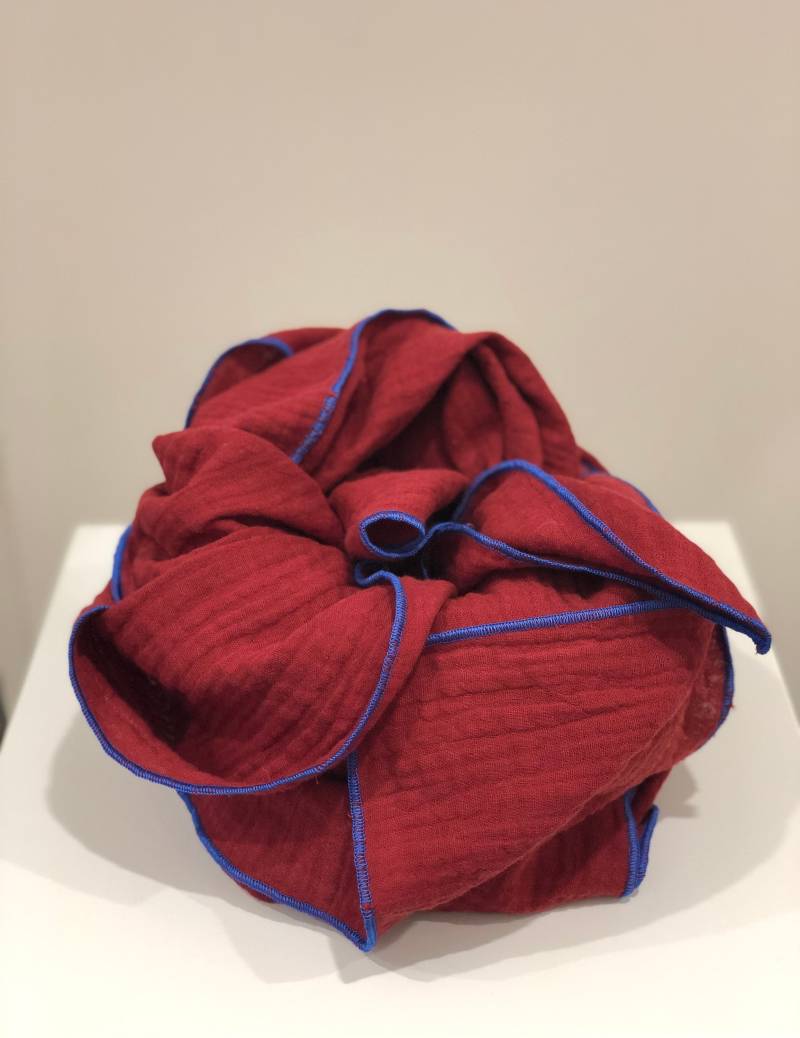 Bio Musselintuch Xxl in Rot, Schal Damen, Halstuch, Leicht, 100 % Plastikfrei, Made Germany, Geschenkidee Weihnachten Bio Musselintuch Xxl in Rot, Schal Damen, Halstuch, Leicht, 100 % Plastikfrei, Made Germany, Geschenkidee Weihnachten von bizifamily