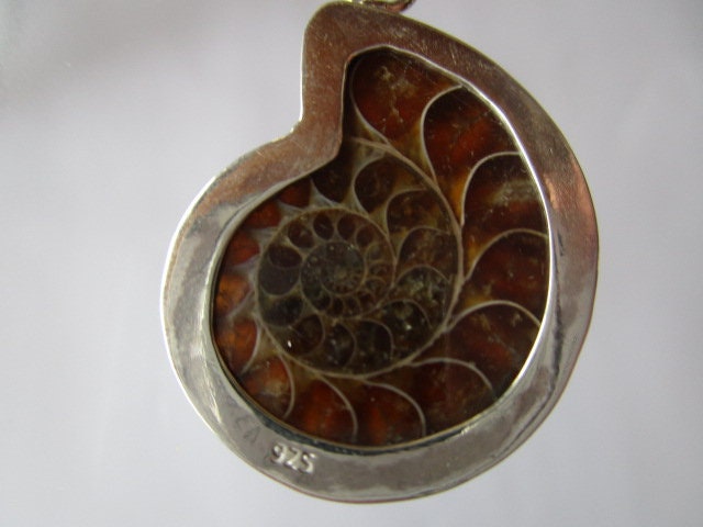 Silber Anhänger Mit Ammonit -G -53 Silber Anhänger Mit Ammonit -G -53 von blueskymargrit