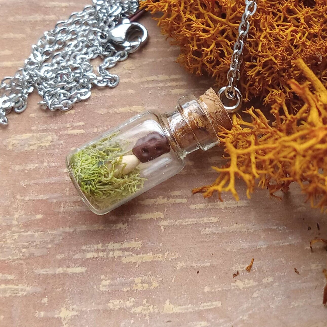 Morchel Im Frühlingsgrün Moos Kleine Terrarium Flasche Halskette - Wunderliche Morchella Waldland Fantasie Cottagecore Märchen Geschenk Morchel Im Frühlingsgrün Moos Kleine Terrarium Flasche Halskette - Wunderliche Morchella Waldland Fantasie Cottagecore Märchen Geschenk von bonlynx