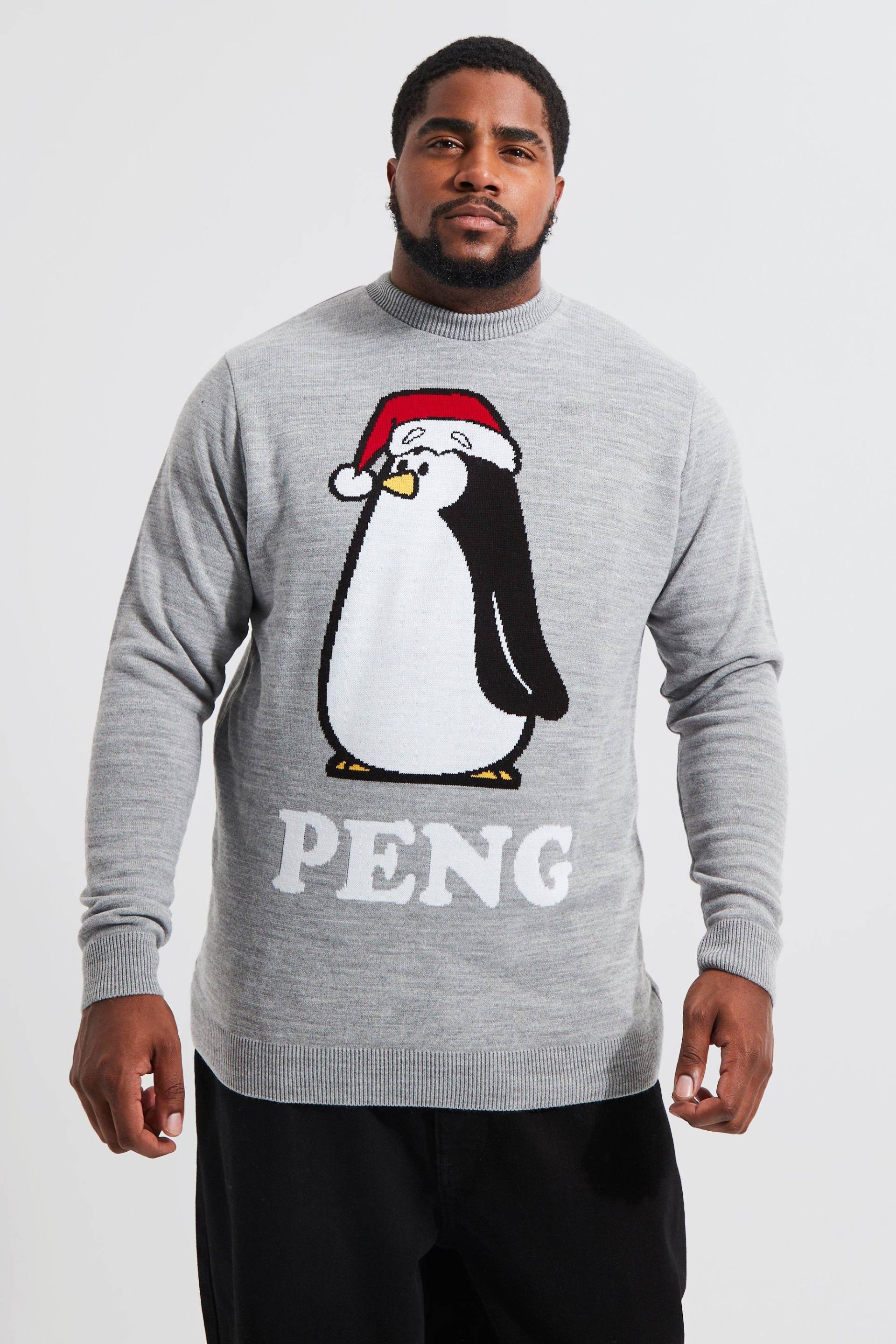 Plus Peng Novelty Weihnachtspullover - Grey Marl - Xxxl, Grey Marl von boohoo