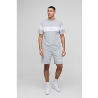 Colorblock T-Shirt mit Official Schriftzug und Raglan-Ärmeln - Grau - XS, Grau von boohooman