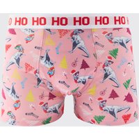 Weihnachts Dinosaurier-Boxershorts von boohooman